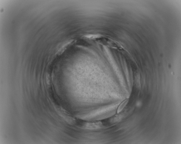 X0000065960571200603172027