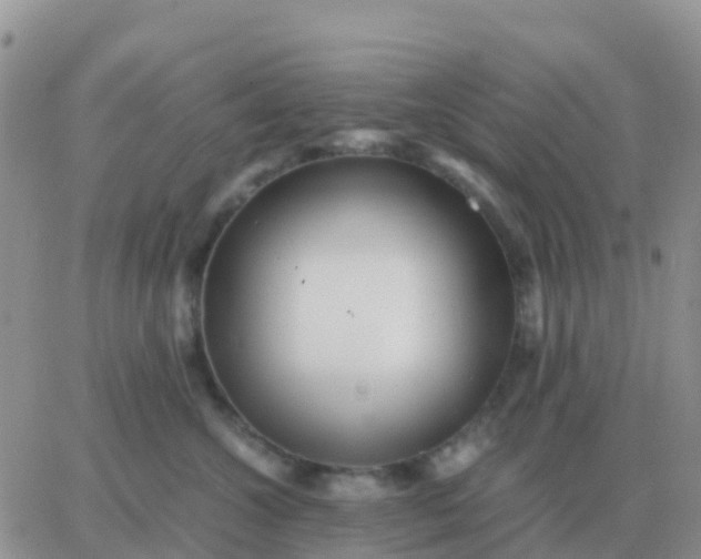 X0000065960572200603172027