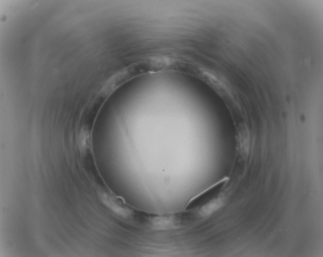 X0000065960574200603172027