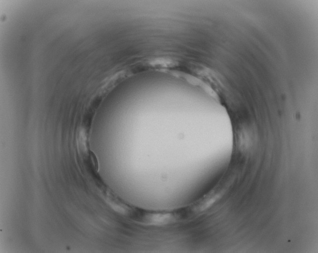 X0000065960575200603172027