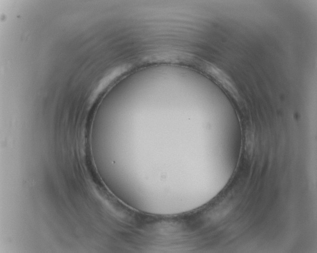 X0000065960578200603172027