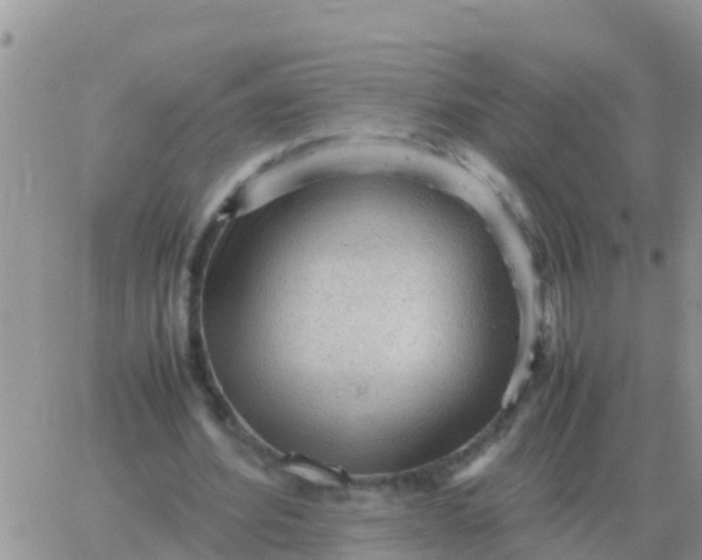 X0000065960580200603172027