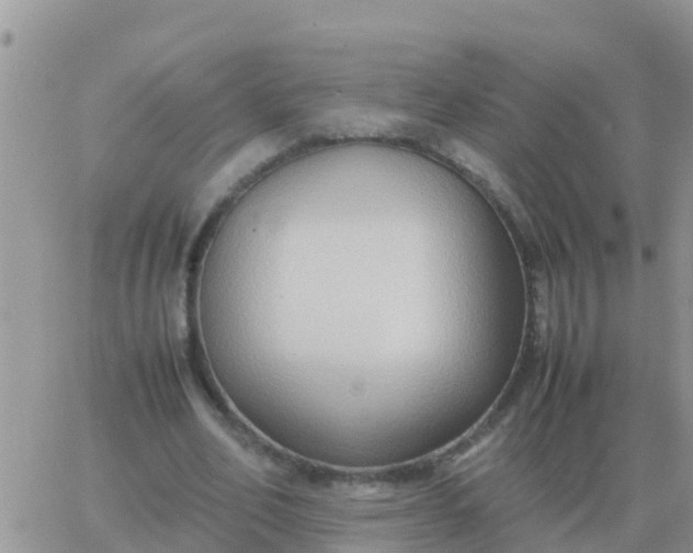 X0000065960582200603172027