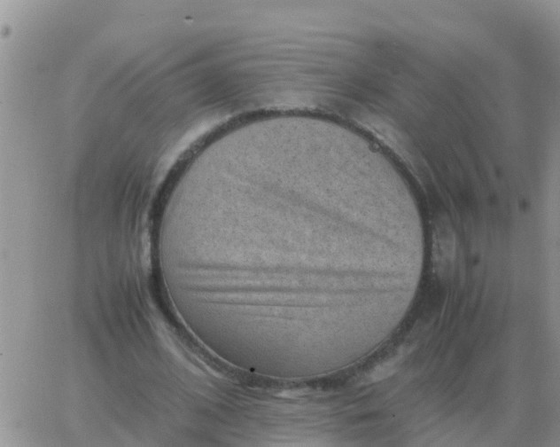 X0000065960584200603172027