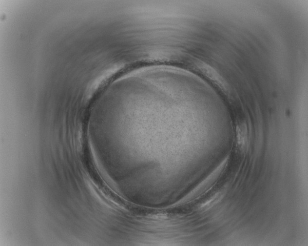 X0000065960588200603172026