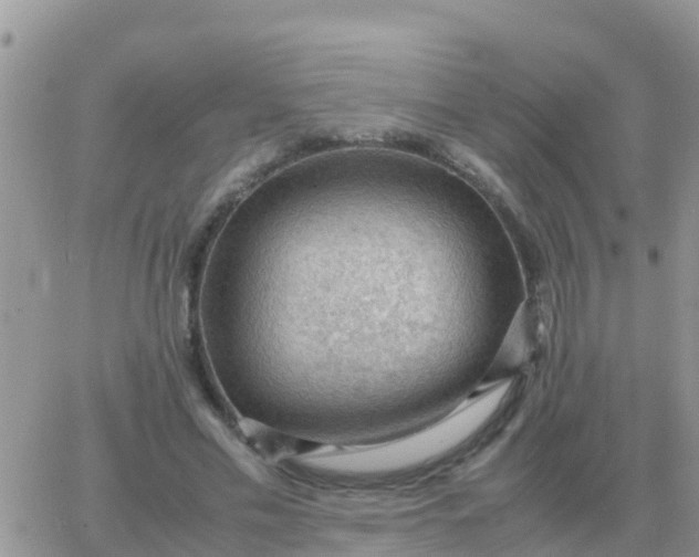 X0000065960589200603172026