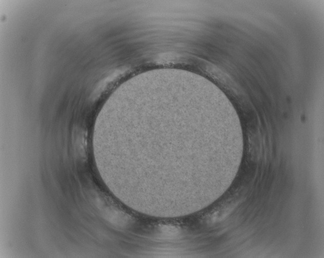 X0000065960592200603172026