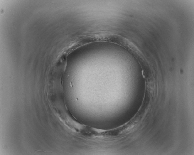 X0000065960593200603172026