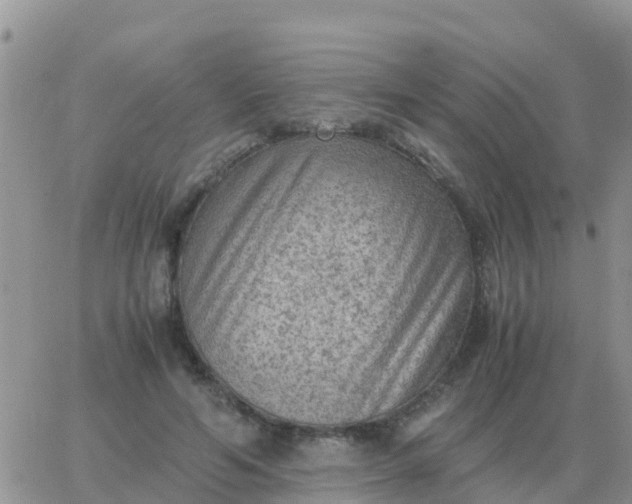 X0000065960594200603172026