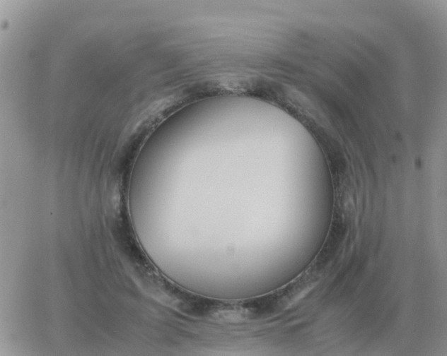 X0000065960595200603172026