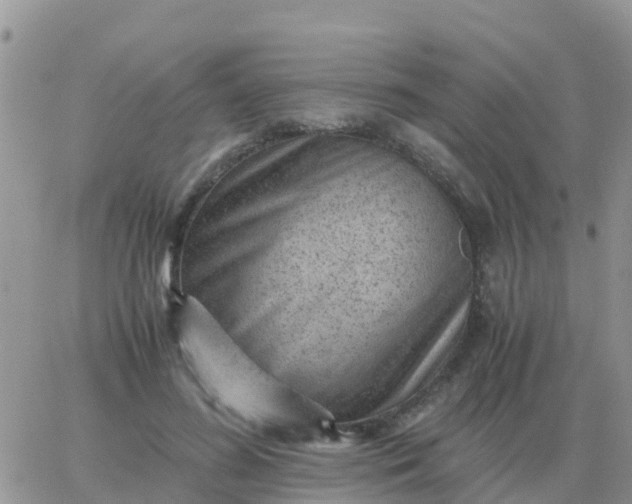 X0000065960596200603172026