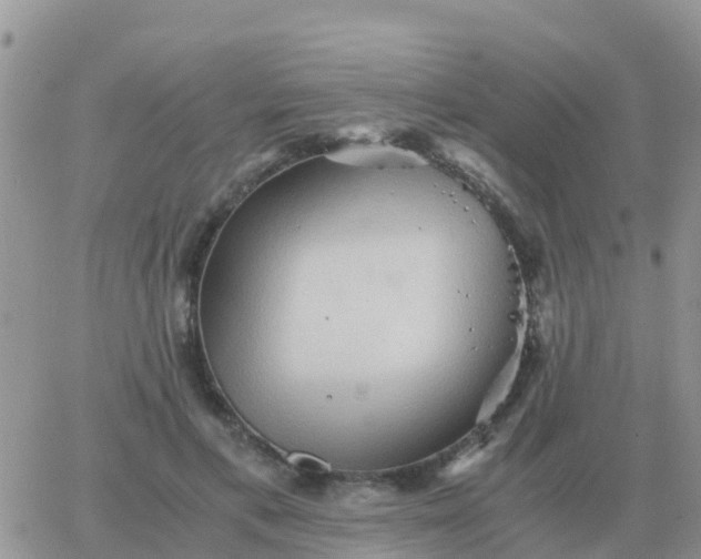 X0000065960597200603172026