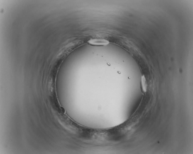 X0000065960599200603172026