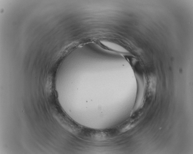 X0000065960600200603172026