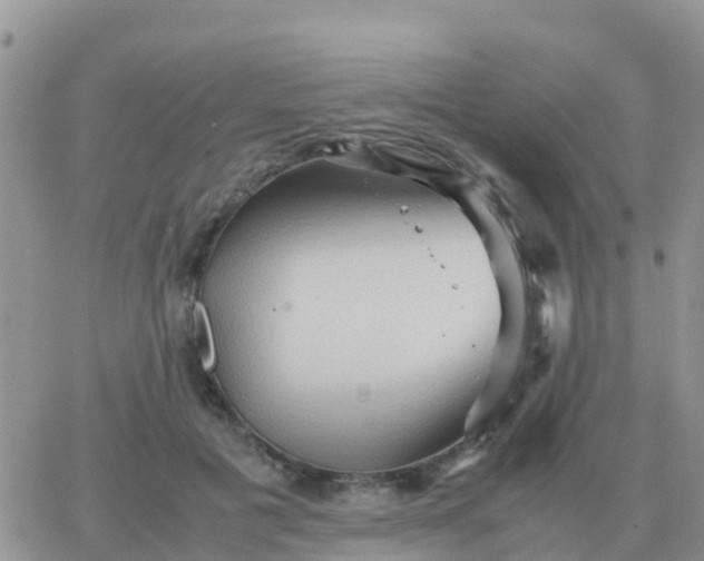 X0000065960601200603172026