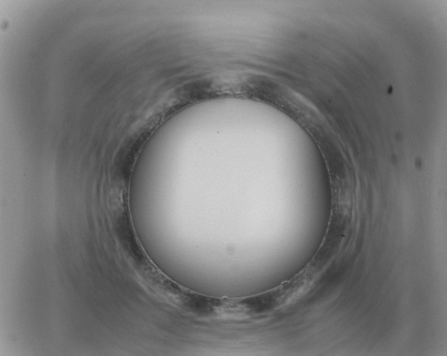 X0000065960603200603172026