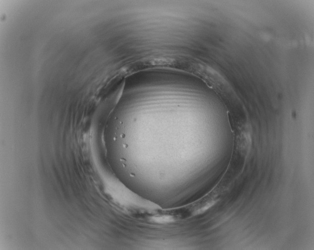 X0000065960604200603172026