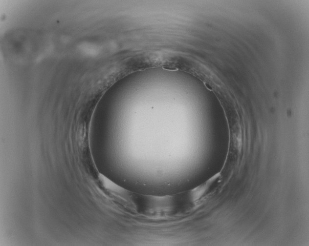 X0000065960605200603172026