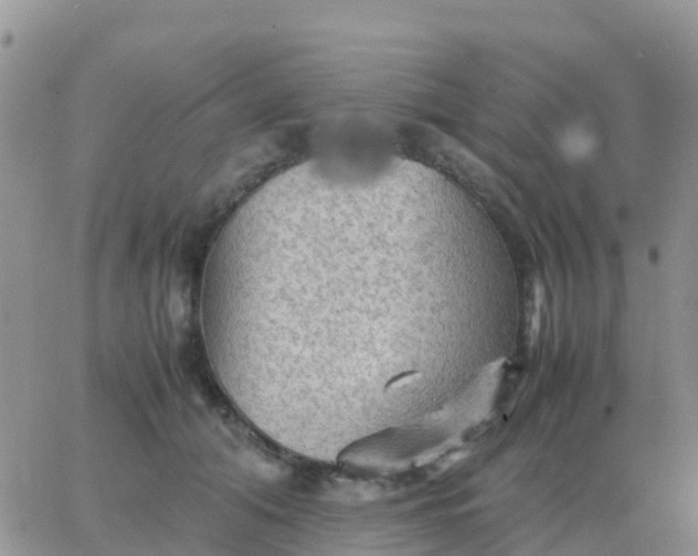 X0000065960608200603172026