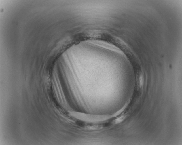 X0000065960609200603172026