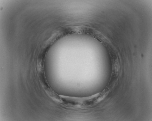 X0000065960611200603172026