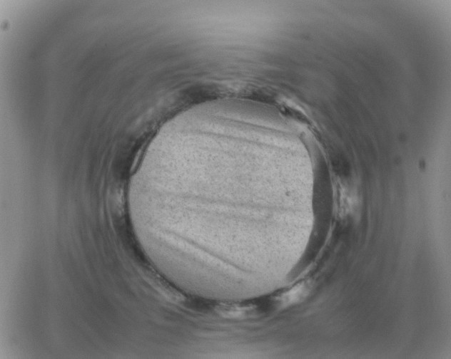 X0000065960613200603172026