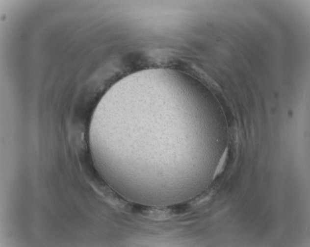 X0000065960615200603172026