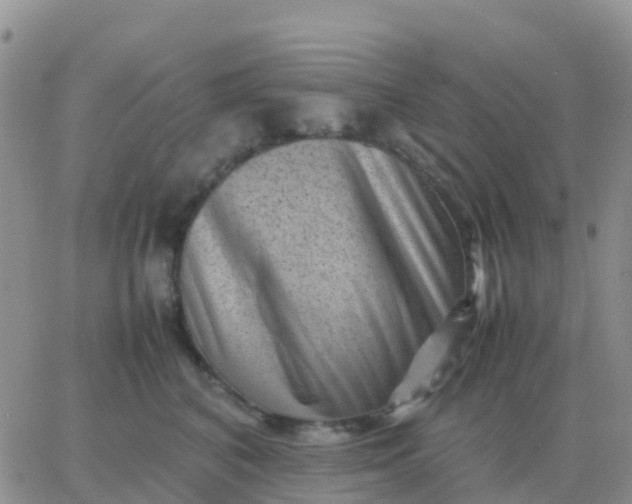 X0000065960616200603172026