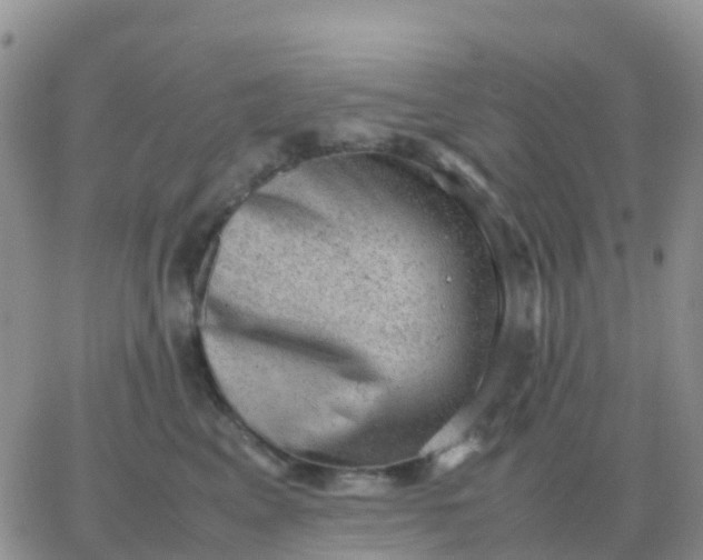 X0000065960617200603172026