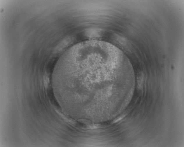 X0000065960618200603172026