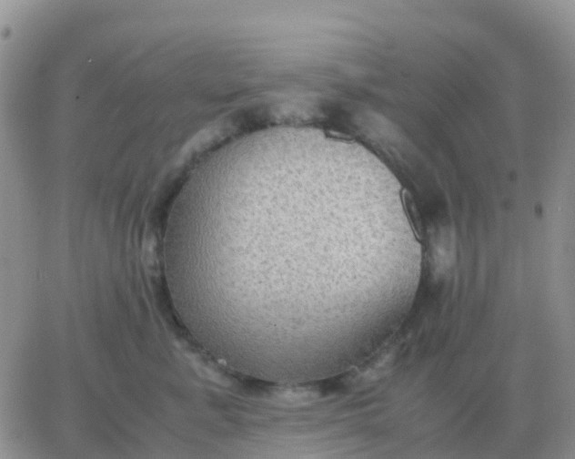 X0000065960619200603172026