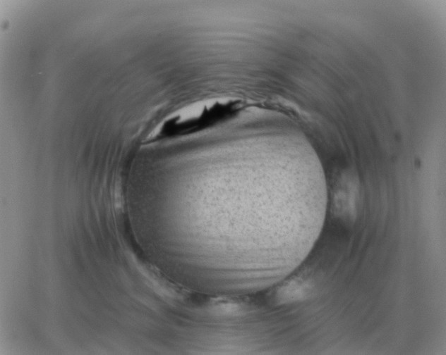 X0000065960620200603172026