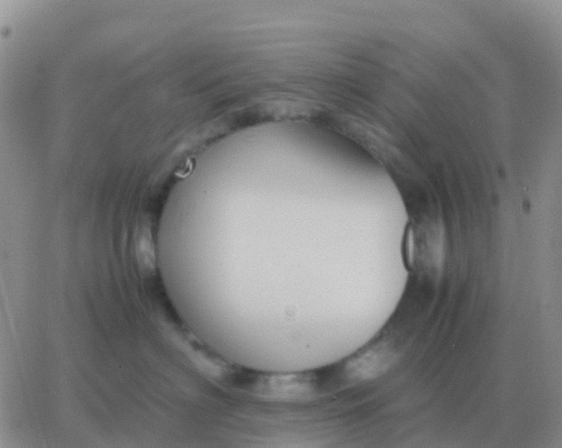 X0000065960622200603172026