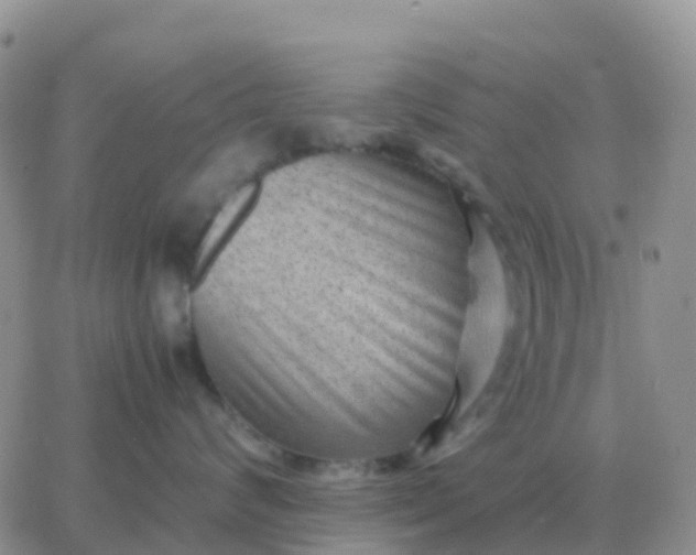 X0000065960624200603172026