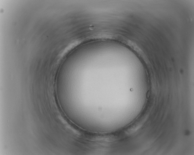 X0000065960625200603172025