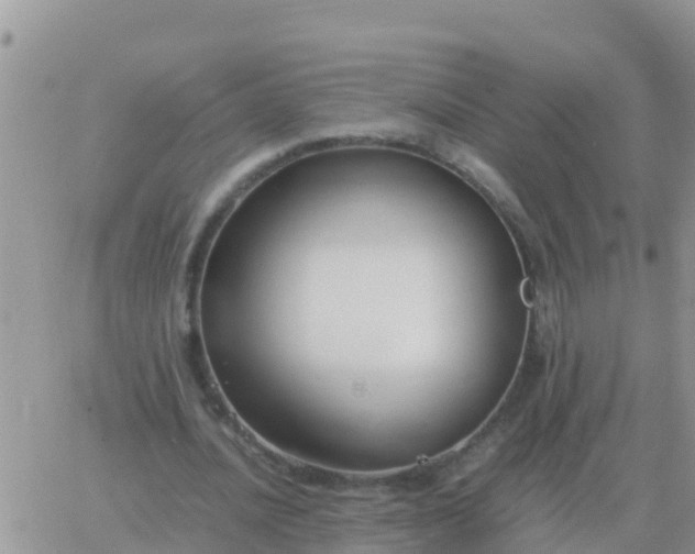 X0000065960628200603172025