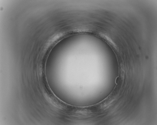 X0000065960631200603172025