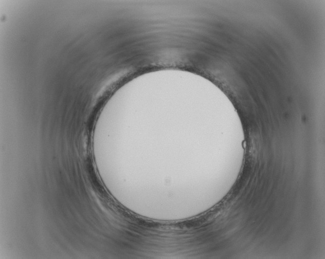 X0000065960636200603172025