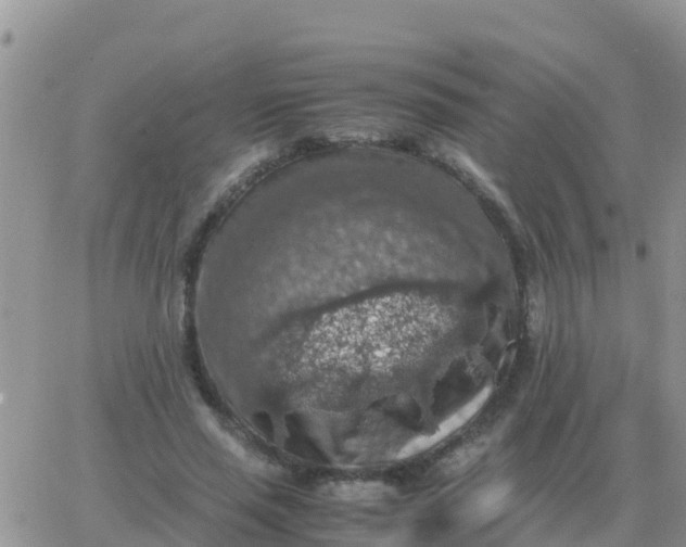 X0000065960637200603172025