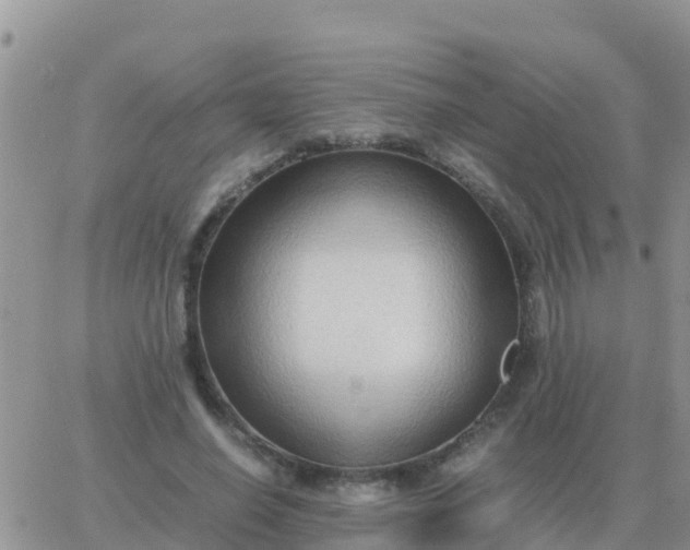 X0000065960638200603172025