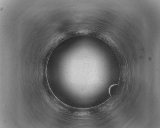 X0000065960639200603172025