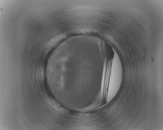 X0000065960640200603172025