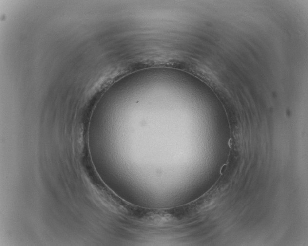 X0000065960642200603172025