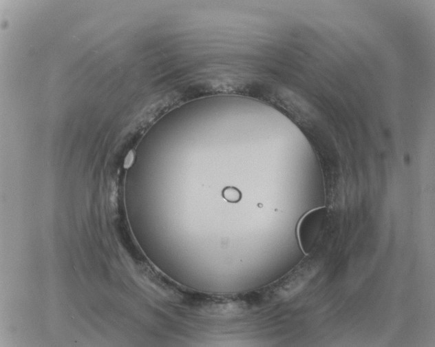 X0000065960646200603172025