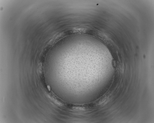 X0000065960649200603172025