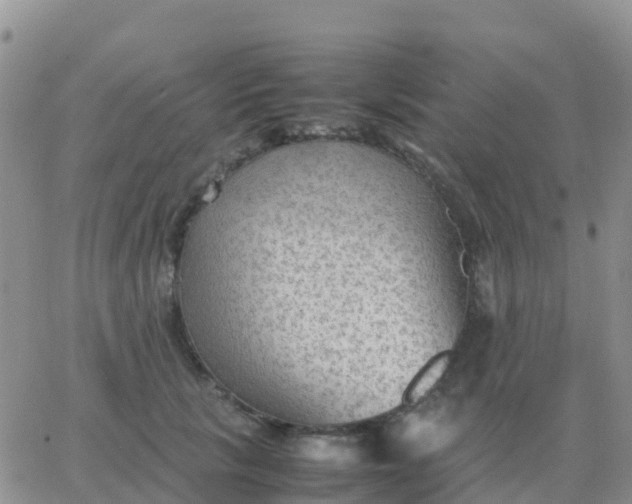 X0000065960657200603172026