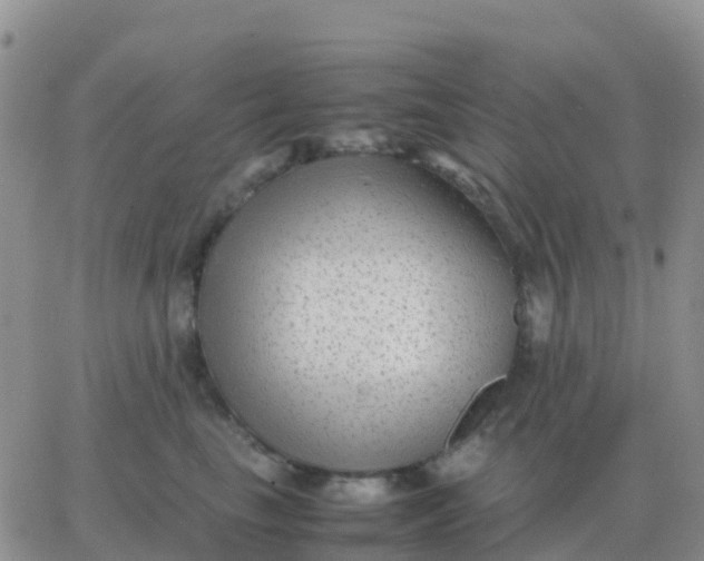 X0000065960665200603172026