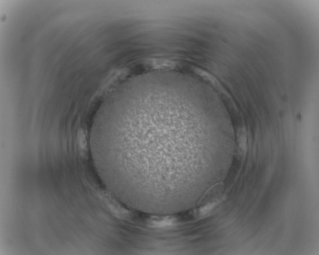 X0000065960667200603172026