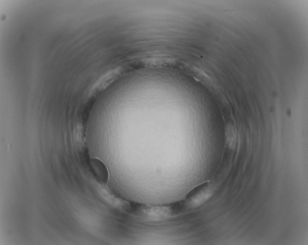 X0000065960670200603172026