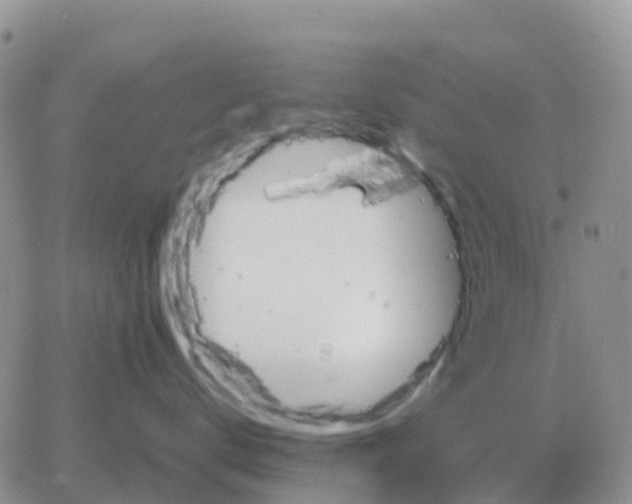 X0000065960672200603172026